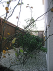 #photo-title